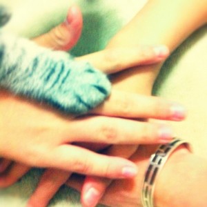 47a5aa84a00b11e1be6a12313820455d_7