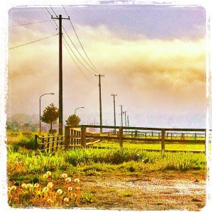 c602496ed25511e2a3ff22000a1fb762_7