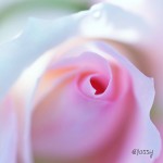 db8dc5d0e76111e2a39f22000aa8011e_7